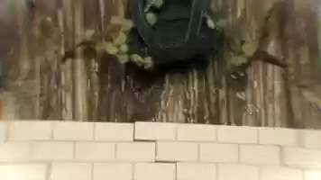 Free download toon fox showreel v2 video and edit with RedcoolMedia movie maker MovieStudio video editor online and AudioStudio audio editor onlin