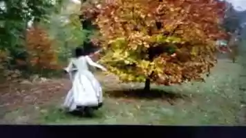 Free download Tracking charc, movement of camera at a distance video and edit with RedcoolMedia movie maker MovieStudio video editor online and AudioStudio audio editor onlin