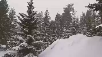 Free download Tracks video and edit with RedcoolMedia movie maker MovieStudio video editor online and AudioStudio audio editor onlin