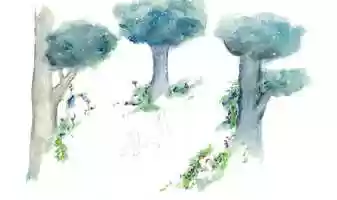 Free download Traditional animation: Jump Test video and edit with RedcoolMedia movie maker MovieStudio video editor online and AudioStudio audio editor onlin