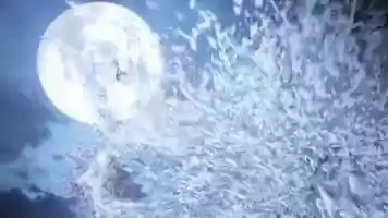 Free download trailer dao hoa dao video and edit with RedcoolMedia movie maker MovieStudio video editor online and AudioStudio audio editor onlin