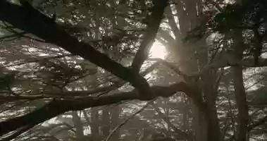 Free download TRAILER_EDIT_12_MapTweak_2048_WebMix_GEN video and edit with RedcoolMedia movie maker MovieStudio video editor online and AudioStudio audio editor onlin