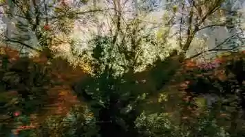 Free download Trailer for: ITS EXISTENCE COMMENCED THIS HOUR a film by Wolfgang Lehmann (2019) video and edit with RedcoolMedia movie maker MovieStudio video editor online and AudioStudio audio editor onlin