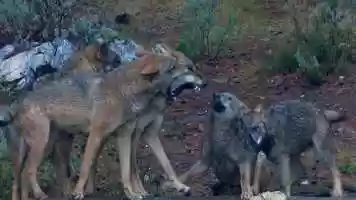 Free download Trailer Iberia, a land of passions video and edit with RedcoolMedia movie maker MovieStudio video editor online and AudioStudio audio editor onlin