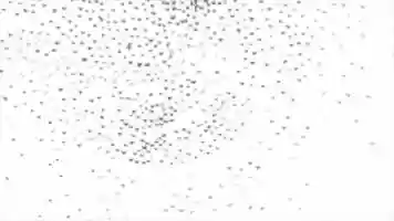 Free download Transience - Art Director : Audrey Speyer video and edit with RedcoolMedia movie maker MovieStudio video editor online and AudioStudio audio editor onlin