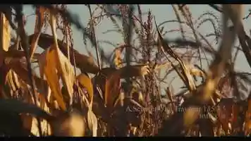 Free download Travenar 135/3,5 on BMPCC 4k video and edit with RedcoolMedia movie maker MovieStudio video editor online and AudioStudio audio editor onlin