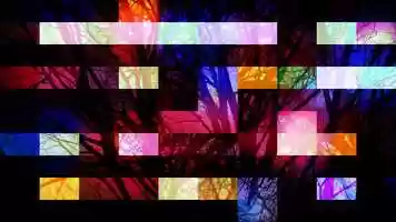 Free download Tree Elect-tree-city: Video Projection Art Mosaic #19 video and edit with RedcoolMedia movie maker MovieStudio video editor online and AudioStudio audio editor onlin