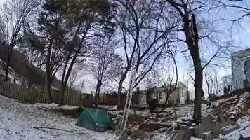 Free download Tree pruning. Music by AA Aalto video and edit with RedcoolMedia movie maker MovieStudio video editor online and AudioStudio audio editor onlin