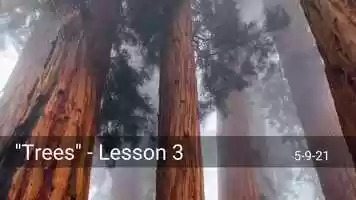 Free download Trees - Lesson 3 video and edit with RedcoolMedia movie maker MovieStudio video editor online and AudioStudio audio editor onlin