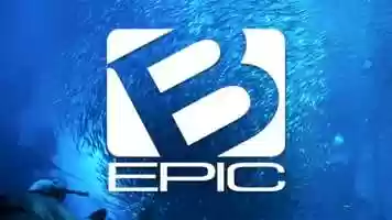 Free download Tremonton, UTAH B-Epic Network Acceler8 Avid Ionized Trace Minerals | Opening: MO MS MN MI MA MD ME | video and edit with RedcoolMedia movie maker MovieStudio video editor online and AudioStudio audio editor onlin