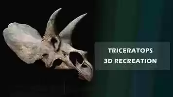 Free download TRICERATOPS at the museum | 3D recreation video and edit with RedcoolMedia movie maker MovieStudio video editor online and AudioStudio audio editor onlin
