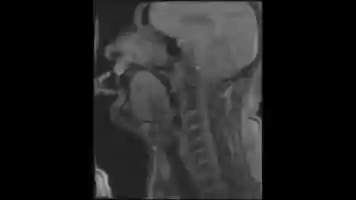 Free download Trompete_Film_03 video and edit with RedcoolMedia movie maker MovieStudio video editor online and AudioStudio audio editor onlin