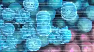 Free download TTFields Mesothelioma Mechanism of Action video and edit with RedcoolMedia movie maker MovieStudio video editor online and AudioStudio audio editor onlin