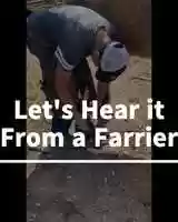 Free download TUF: Hear from a Farrier video and edit with RedcoolMedia movie maker MovieStudio video editor online and AudioStudio audio editor onlin