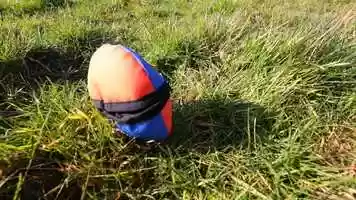 Free download Tug-e-Nuff (TU040119) - Film 4 (Clam Sting) D2 video and edit with RedcoolMedia movie maker MovieStudio video editor online and AudioStudio audio editor onlin