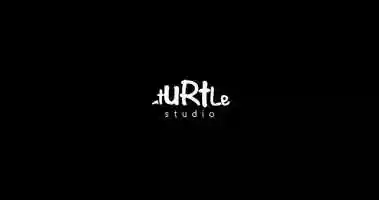 Free download TurtleStudio ShowReel 2019 video and edit with RedcoolMedia movie maker MovieStudio video editor online and AudioStudio audio editor onlin