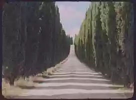 Free download T U S C A N Y - Summer - I t a l y video and edit with RedcoolMedia movie maker MovieStudio video editor online and AudioStudio audio editor onlin