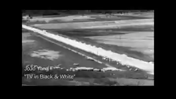 Free download TV in Black and White video and edit with RedcoolMedia movie maker MovieStudio video editor online and AudioStudio audio editor onlin