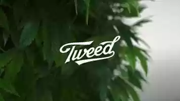 Free download TWEED Oil video and edit with RedcoolMedia movie maker MovieStudio video editor online and AudioStudio audio editor onlin