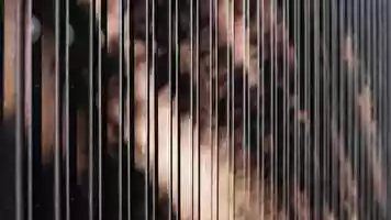 Free download TWO-O-SEVEN Animation video and edit with RedcoolMedia movie maker MovieStudio video editor online and AudioStudio audio editor onlin