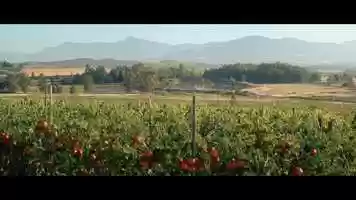 Free download TYMBARK SOK POMIDOROWY -Packshot video and edit with RedcoolMedia MovieStudio video editor online and AudioStudio audio editor onlin