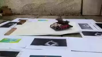 Free download Typewriter Destruction video and edit with RedcoolMedia movie maker MovieStudio video editor online and AudioStudio audio editor onlin