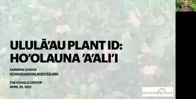 Free download Ululāau Plant ID Workshop: Hoolauna Aalii video and edit with RedcoolMedia movie maker MovieStudio video editor online and AudioStudio audio editor onlin