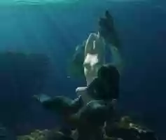 Free download Under the water video and edit with RedcoolMedia movie maker MovieStudio video editor online and AudioStudio audio editor onlin
