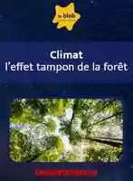Free download UNIVERSCIENCE - Actu de science - Climat_ l_effet tampon de la forêt video and edit with RedcoolMedia movie maker MovieStudio video editor online and AudioStudio audio editor onlin