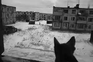 Free download Untitled (photo to 3d) video and edit with RedcoolMedia movie maker MovieStudio video editor online and AudioStudio audio editor onlin