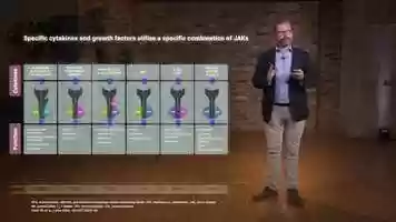 Free download Upadacinitib Mode of Action_Video_PT video and edit with RedcoolMedia movie maker MovieStudio video editor online and AudioStudio audio editor onlin