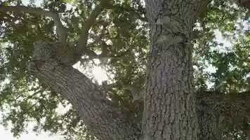 Free download UP- Education Programs video and edit with RedcoolMedia movie maker MovieStudio video editor online and AudioStudio audio editor onlin