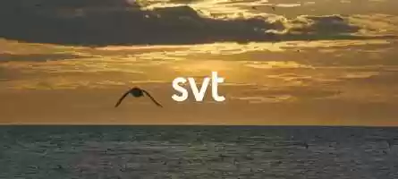 Free download V2_FISKARNAS RIKE_TRAILER_MASTER_GENERELL_230min_1920x864_25FPS_H264_FOR WEB video and edit with RedcoolMedia movie maker MovieStudio video editor online and AudioStudio audio editor onlin