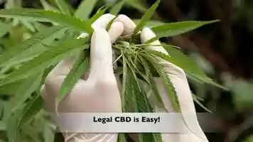 Free download v5-022 Best Rated CBD in Salt Lake City Utah 84110 |.Factory6CBD.| AquaBlend Sachets | Call from: MA MD ME LA KY KS IA video and edit with RedcoolMedia movie maker MovieStudio video editor online and AudioStudio audio editor onlin