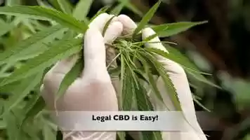 Free download v5-042 Best Rated CBD in Ogden Utah 84403 |.Factory6CBD.| AquaBlend Sachets | Call from: SD SC RI PA OR OK OH video and edit with RedcoolMedia movie maker MovieStudio video editor online and AudioStudio audio editor onlin
