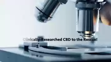 Free download v5-078 Best Rated CBD in Provo Utah 84603 |.Factory6CBD.| Balm Roll-On | Call from: MT MO MS MN MI MA MD video and edit with RedcoolMedia movie maker MovieStudio video editor online and AudioStudio audio editor onlin
