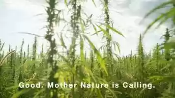 Free download v5-127 Top CBD Review in Paradise Utah 84328 |.Factory6CBD.com| Gummies | Call from: MS MN MI MA MD ME LA video and edit with RedcoolMedia movie maker MovieStudio video editor online and AudioStudio audio editor onlin