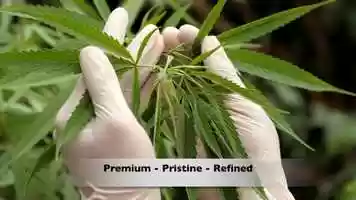 Free download v5-162 Best Rated CBD in Richmond Utah 84333 |.Factory6CBD.| AquaBlend Sachets | Call from: DC DE CT CO CA AR AZ video and edit with RedcoolMedia movie maker MovieStudio video editor online and AudioStudio audio editor onlin