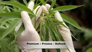 Free download v5-182 Best Rated CBD in Hurricane Utah 84737 |.Factory6CBD.| AquaBlend Sachets | Call from: NV NE MT MO MS MN MI video and edit with RedcoolMedia movie maker MovieStudio video editor online and AudioStudio audio editor onlin