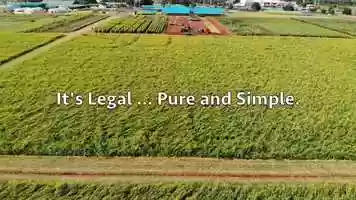 Free download v5-328 Highest Rated CBD in Salt Lake City Utah 84124 |.Factory6CBD.| Isolate | Call from: MA MD ME LA KY KS IA video and edit with RedcoolMedia movie maker MovieStudio video editor online and AudioStudio audio editor onlin