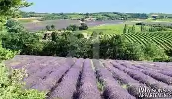 Free download VAISON-LA-ROMAINE - MAISON A VENDRE - 798 000  - 286 m - 9 pice(s) video and edit with RedcoolMedia movie maker MovieStudio video editor online and AudioStudio audio editor onlin