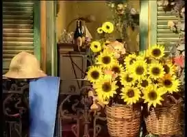Free download VAKANTIELAND video and edit with RedcoolMedia movie maker MovieStudio video editor online and AudioStudio audio editor onlin