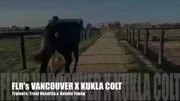 Free download VANCOUVER X KUKLA COLT video and edit with RedcoolMedia movie maker MovieStudio video editor online and AudioStudio audio editor onlin