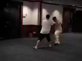 Free download Variety of Techniques in Shaolin Five Animals -- Part 3 video and edit with RedcoolMedia movie maker MovieStudio video editor online and AudioStudio audio editor onlin