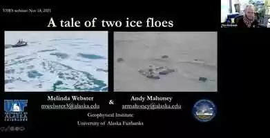 Free download VAWS: A tale of two ice floes video and edit with RedcoolMedia movie maker MovieStudio video editor online and AudioStudio audio editor onlin