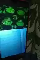 Free download Vegetables video and edit with RedcoolMedia movie maker MovieStudio video editor online and AudioStudio audio editor onlin