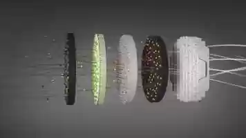 Free download Vektra Mead Core Technology.mp4 video and edit with RedcoolMedia movie maker MovieStudio video editor online and AudioStudio audio editor onlin