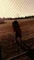 Free download VERSTIL - Mi Tesoro (freestyle cover) video and edit with RedcoolMedia movie maker MovieStudio video editor online and AudioStudio audio editor onlin