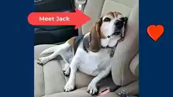 Free download VetTools-Veterinary Partner Client Education Integration Features video and edit with RedcoolMedia movie maker MovieStudio video editor online and AudioStudio audio editor onlin