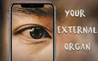 Free download Video Essay | Why Dont You Believe Phone Has Become Your External Organ？ video and edit with RedcoolMedia movie maker MovieStudio video editor online and AudioStudio audio editor onlin